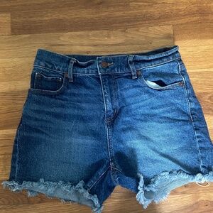 Loft shorts size 24